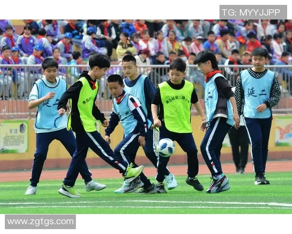 绿茵逐梦新时代探索足球激情与团队精神的无限可能